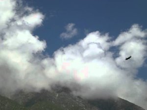 гр. "Алмосту" Алим Газаев(1994) - Гапалау (народная)