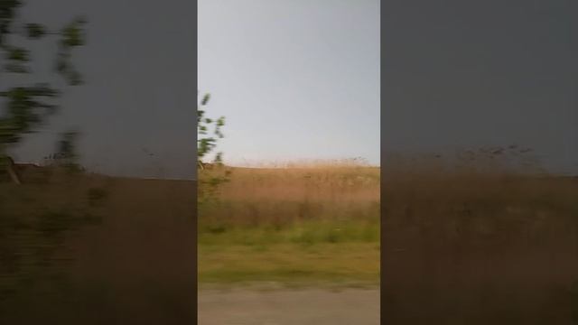 еду в Мин-воды смотреть онлайн