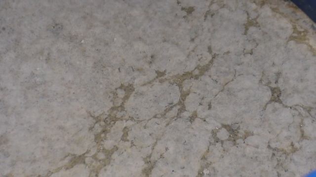 Брага на диких дрожжах пшеницы, ячменя . Что получилось?