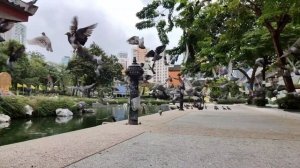 OPPO Reno 10x Zoom Slowmotion Video Sample