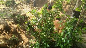 18x+ Beautiful girl Play with smart and cute dog and discover life Part 4