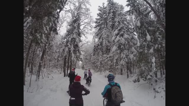 Сказочное время Новый Год 2019