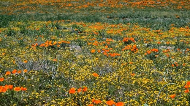 Мое слайд-шоу смотреть онлайн