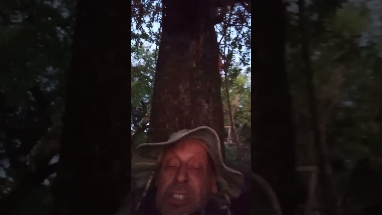 Война #россия #рекомендации #украина смотреть онлайн