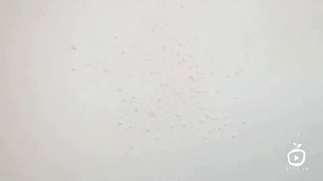Чизкейк шоколадты глазурьмен. Çikolatalı çiz kek
