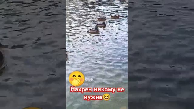 никому не нужна