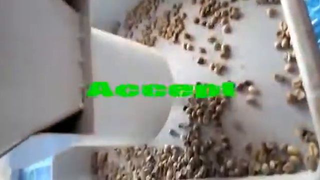 coffee bean sorting video смотреть онлайн