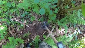 Немного теплого летнего релакс копа в лесу. Копаем с XP Deus