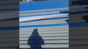 Гидроизоляция металлической крыши по швам затем окрашивание Эластомерик-911