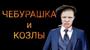 коллекторы. Сибирское КА, Эверест, Феникс, Лайм FX