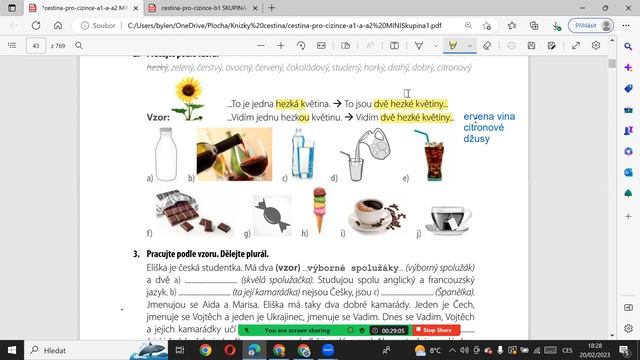А1-А2 Курс чеської мови онлайн в міні-групі 20.2.23