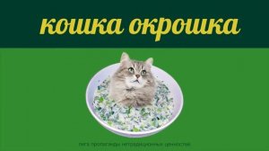 КОШКА - ОКРОШКА / CAT - OKROSHKA