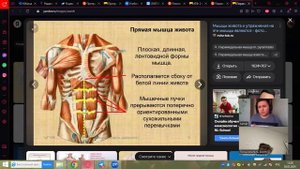 Лекция для фитнес тренера по анатомии и физиологии Smart Fitness
