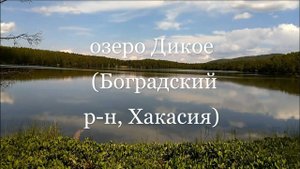 озеро Дикое 🌊 (Боградский район, Хакасия) 01.08.2022г