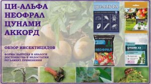 Ци Альфа, Неофрал, Цунами и Аккорд - обзор препаратов от вредителей на основе альфа-циперметрин