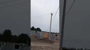 Ленинаканские бойные голуби