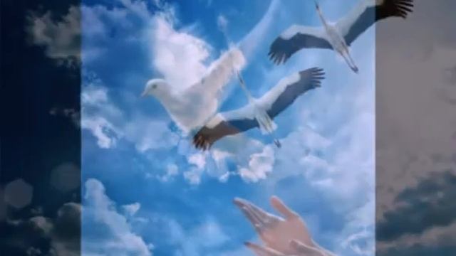 Свобода или полет Души смотреть онлайн