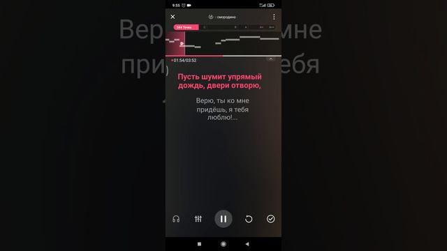 Караоке - Черная смородина (Алена Росс)