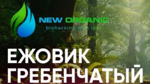 Мировой релиз от New Organic!