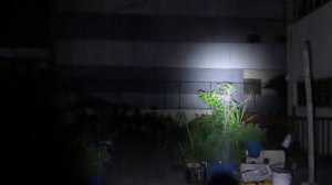 Convoy S2+ (SST40 cool-white) vs Convoy S2+ (SFT40) beam comparison