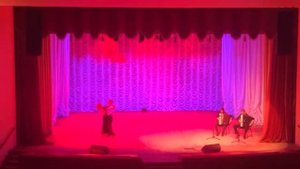 R. Galliano “Tango pour Claude” исп. Алейников Сергей и Гурин Леон