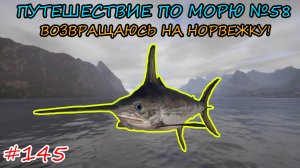 ПУТЕШЕСТВИЕ ПО МОРЮ №58 / ВОЗВРАЩАЮСЬ НА НОРВЕЖКУ!