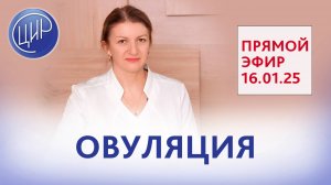 Овуляция. Прямой эфир со Светланой Николаевной Дементьевой.