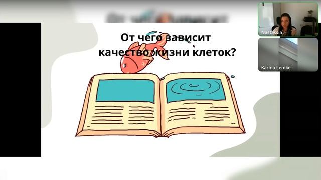 Концепция здоровья