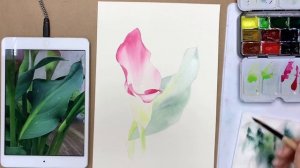 Ботаническая иллюстрация. Часть 4