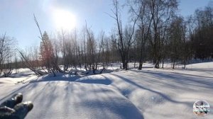 Добыли с Бесом еще одного бобра. Проверка капканов на бобров.