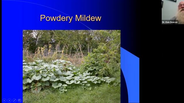 Garden Pests and Diseases