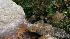 У озер в верховьях Эхе-гер