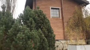 Дымоход чуть не стал причиной пожара.
