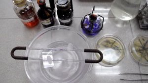 Окраска бактерий по Граму