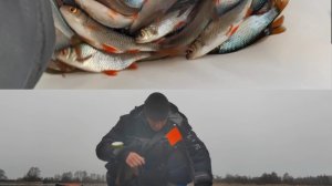 Ловля Щуки на Жерлицы зимой.