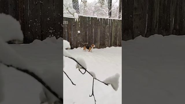 4 Мая, Снег по колено! ❄️❄️❄️