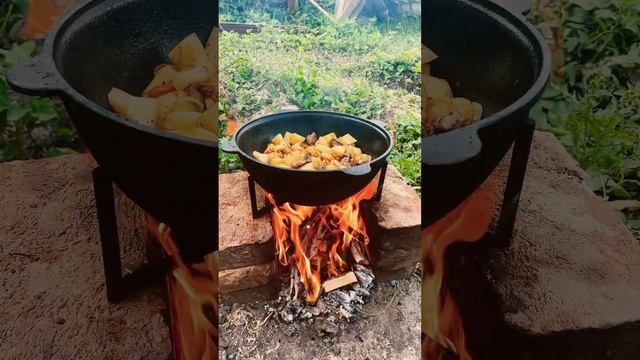 fishing 2024 russia beautiful рыбалка youtubeshorts fish