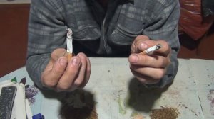 Дегустация пасынков табака