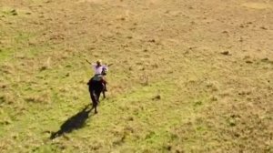 Восточный ветер 3