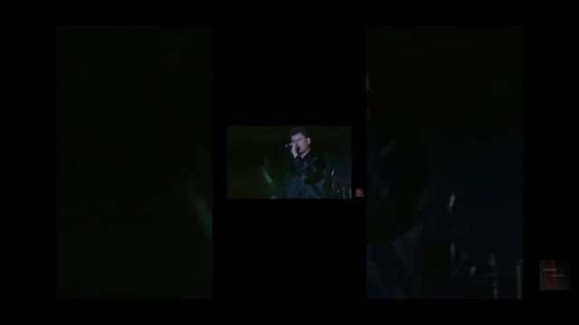 сектор Газа щи