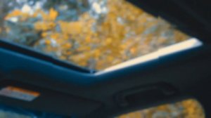 Вика Цыганова "Ясень золотой" (Альбом "Фёдор гребёт") @SuperhitTVmedia