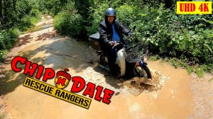 В поисках приключений! Мы с Виктором едем в лес на мопеде SUZUKI BIRDIE 50 и мотоцикле YAMAHA YBR125