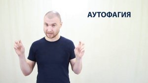 Режим питания - Правило второе - Пищевое окно