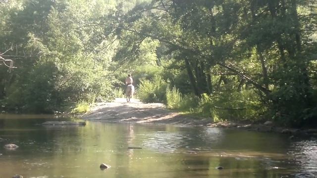 катание на лошади смотреть онлайн