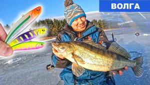 ВОЛГА В ЯРОСЛАВЛЕ УДИВИЛА! ТЕСТИРУЕМ НОВЫЕ ВИБЫ ПО СУДАКУ