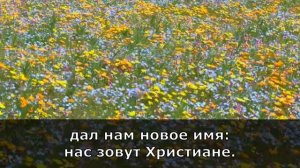 Манит сердце мечтою