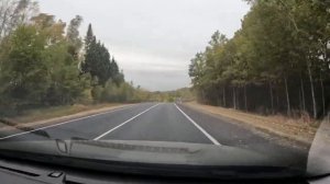 Дорога Суздаль - Юрьев Польский октябрь 2024