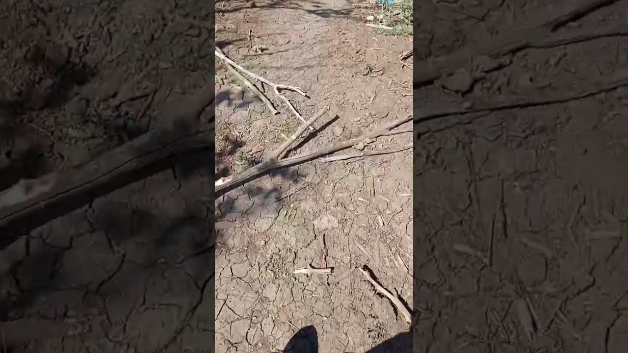 Война #украина #рекомендации #россия #война смотреть онлайн