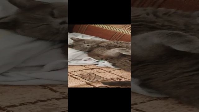 Том❤️