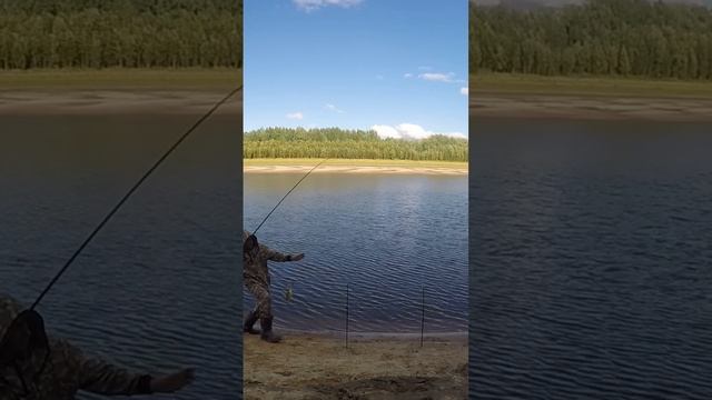 Рыбалка.400+ #клев #рыбалка #река #обь#иртыш#крупняк.